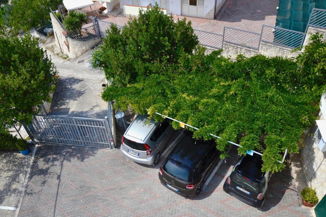 B&B Il Giardino Stellato Vieste Dış mekan fotoğraf